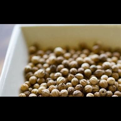 コリアンダーはパクチーの種